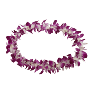 Hawaiian orchid lei on a transparent (no) background