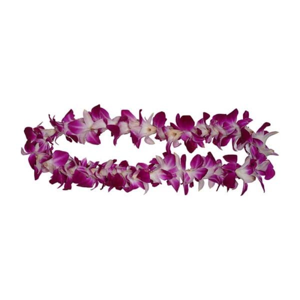 Hawaiian orchid lei on a white background