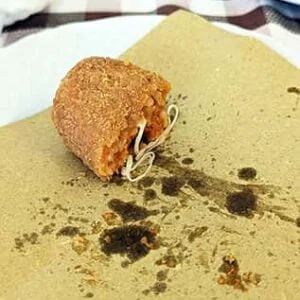 Food in Rome Italy