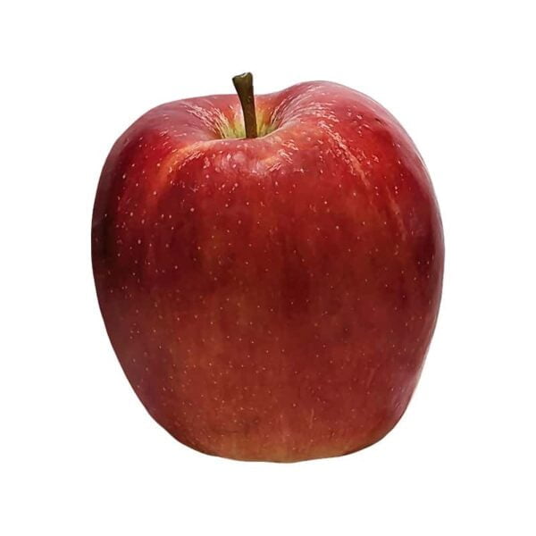 Red apple on a white background