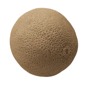 Cantaloupe melon fruit on a transparent (no) background