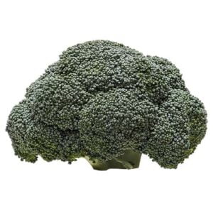 Broccoli on a white background
