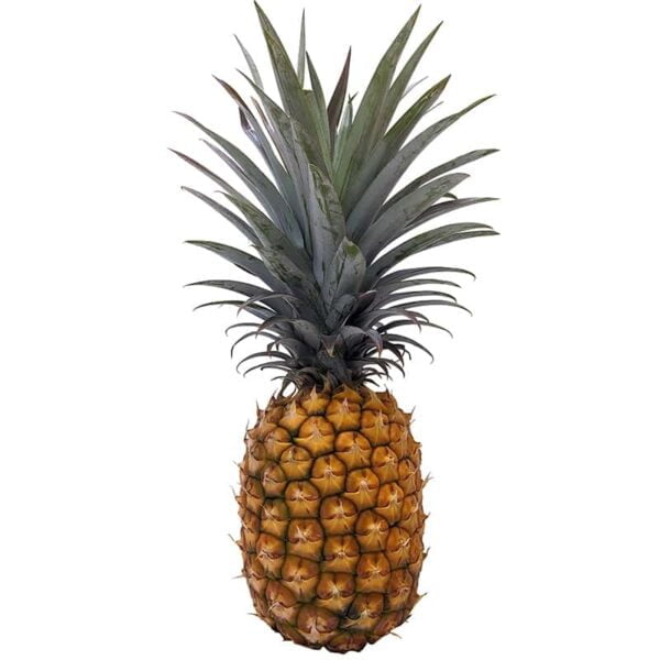 Pineapple on a white background