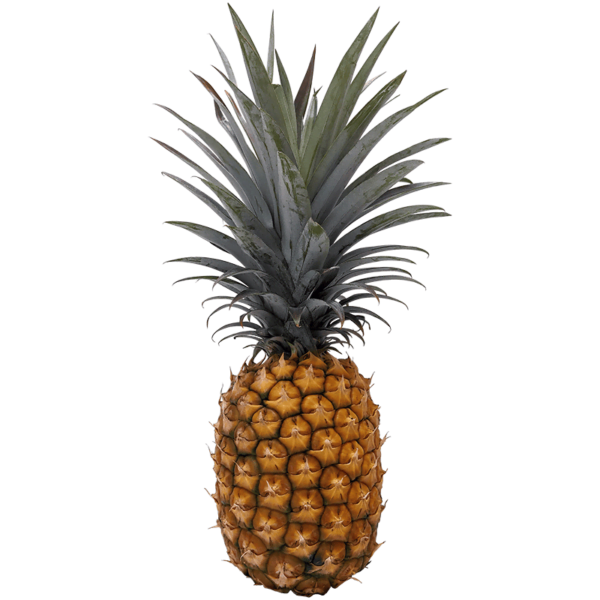 Pineapple on a transparent (no) background