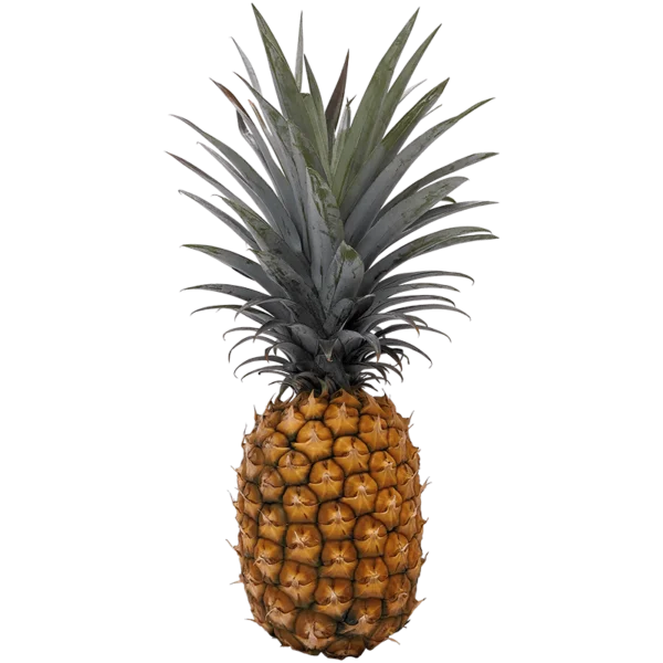 Pineapple on a transparent (no) background