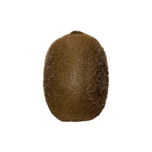 Kiwi fruit on a transparent (no) background