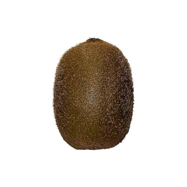 Kiwi fruit on a white background