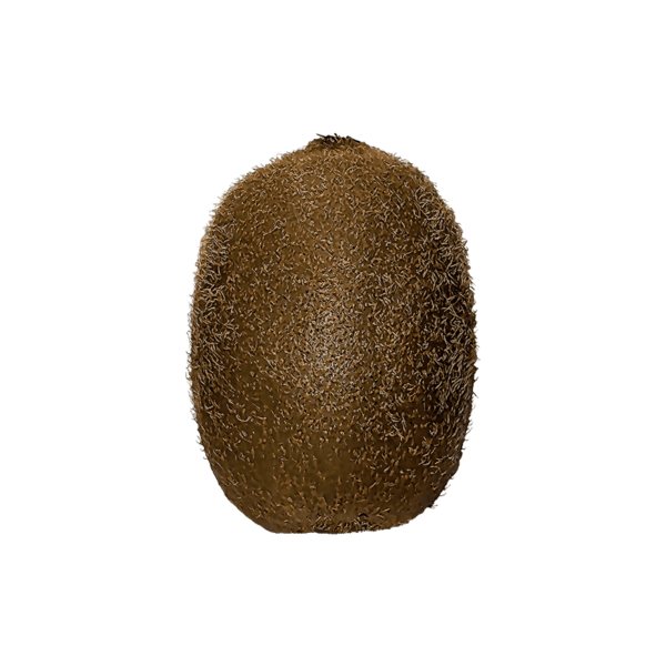 Kiwi fruit on a transparent (no) background