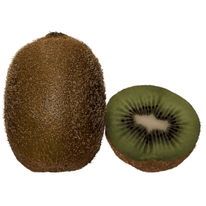 Kiwi fruit on a transparent (no) background