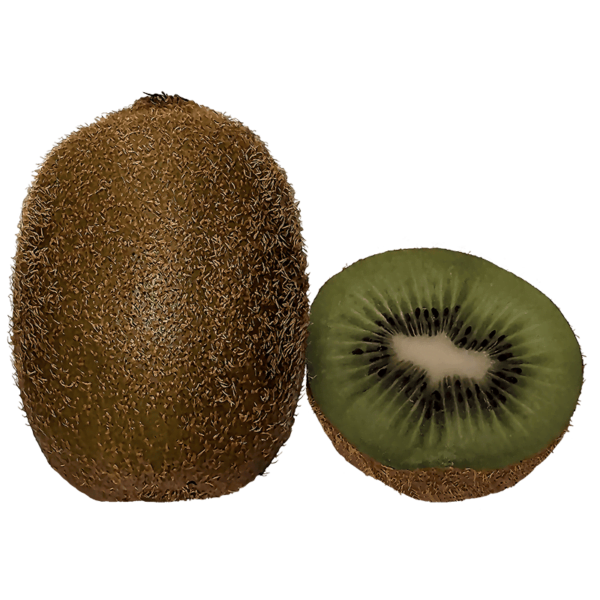 Kiwi fruit on a transparent (no) background