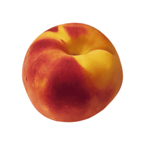 Peach fruit on a transparent (no) background