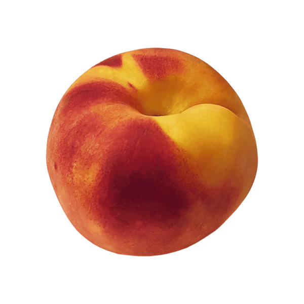 Peach fruit on a transparent (no) background