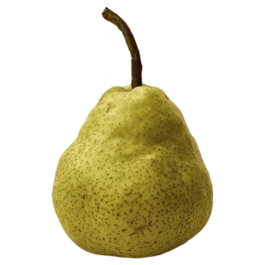 Pear fruit on a transparent (no) background