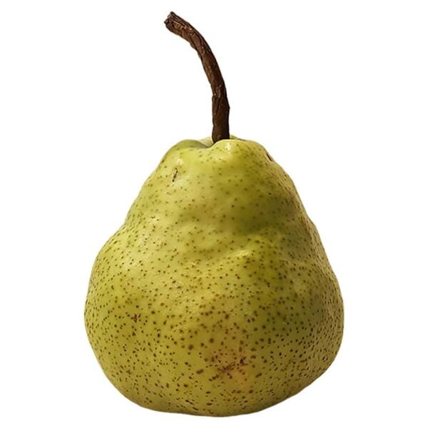 Pear fruit on a white background