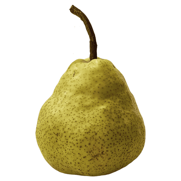 Pear fruit on a transparent (no) background