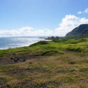 Scenic view of Honolulu Hawaii coast