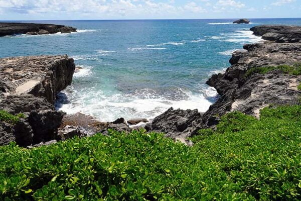 Scenic ocean view of Honolulu Hawaii coast