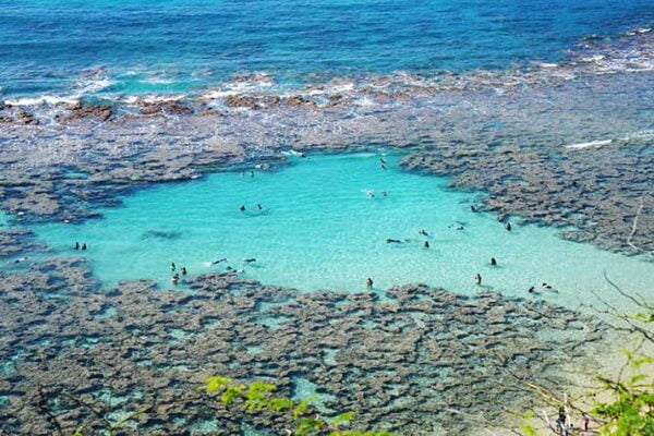 Snorkeling in Honolulu Hawaii