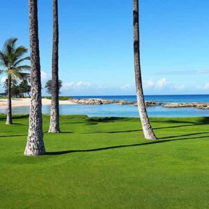 Scenic lagoon in Honolulu Hawaii