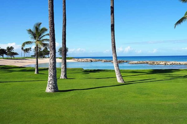 Scenic lagoon in Honolulu Hawaii