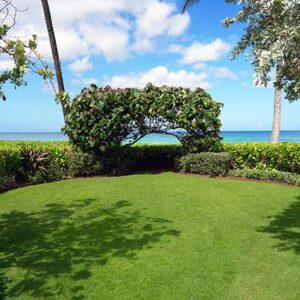 Scenic view in Honolulu Hawaii