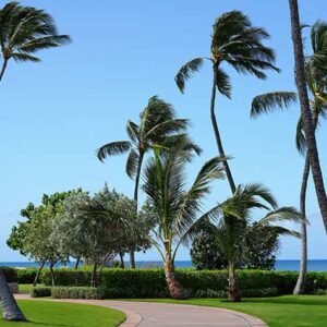 Scenic view in Honolulu Hawaii