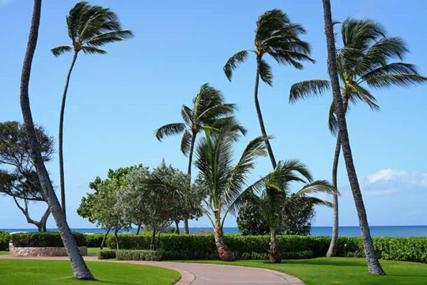 Scenic view in Honolulu Hawaii