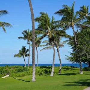Scenic view in Honolulu Hawaii