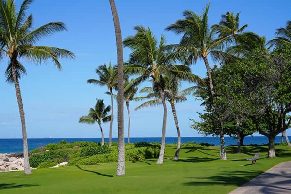 Scenic view in Honolulu Hawaii