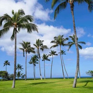 Scenic view in Honolulu Hawaii