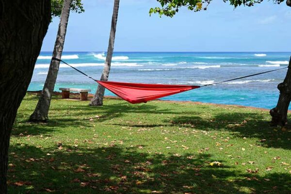 Resting by the ocean in Honolulu Hawaii