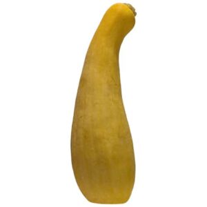 Yellow Squash on a white background