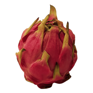 Pitaya (Dragon Fruit) on a transparent (no) background