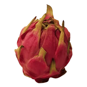 Pitaya (Dragon Fruit) on a transparent (no) background
