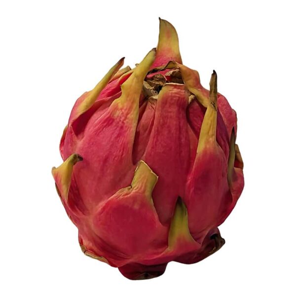 Pitaya (Dragon Fruit) on a white background