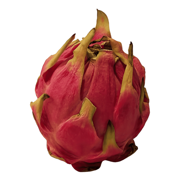 Pitaya (Dragon Fruit) on a transparent (no) background