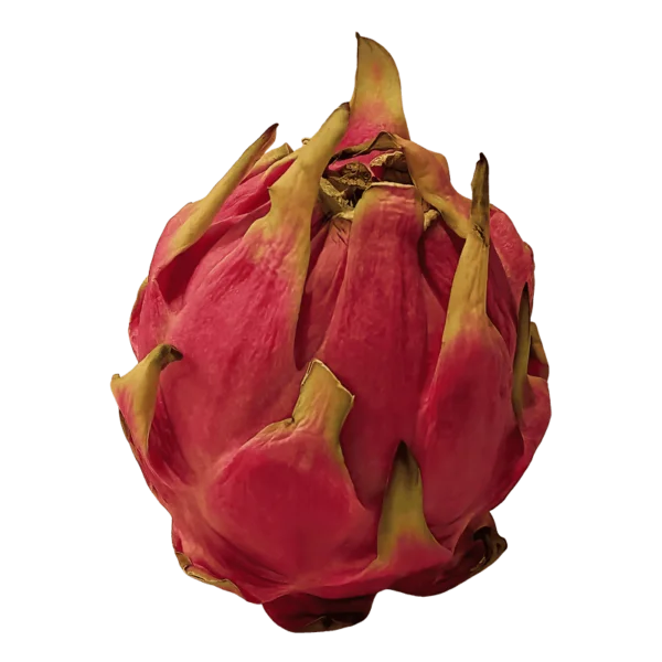 Pitaya (Dragon Fruit) on a transparent (no) background
