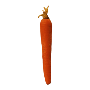 Carrot on a transparent (no) background