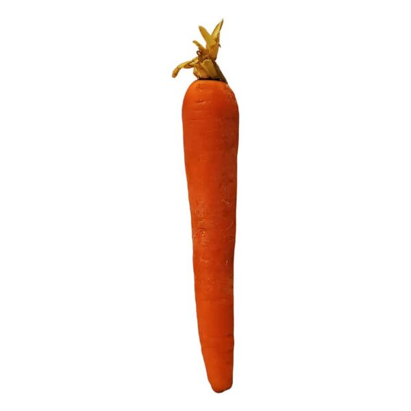 Carrot on a white background