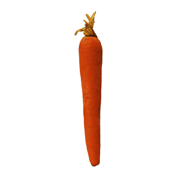 Carrot on a transparent (no) background