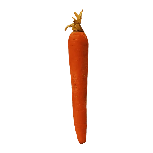 Carrot on a transparent (no) background
