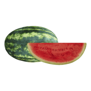 Watermelon on a transparent (no) background