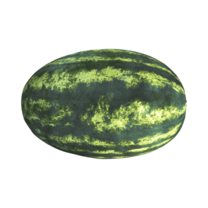 Watermelon on a transparent (no) background