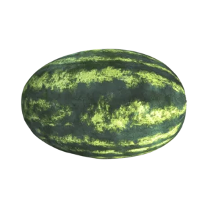 Watermelon on a transparent (no) background