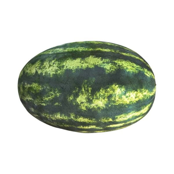 Watermelon on a white background