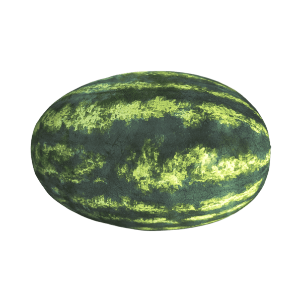 Watermelon on a transparent (no) background