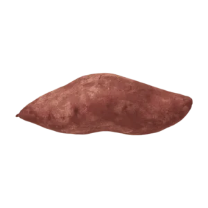 Yam on a transparent (no) background