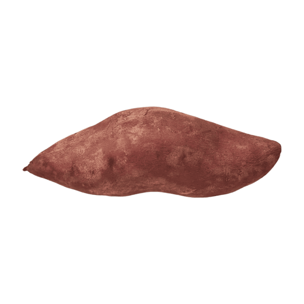 Yam on a transparent (no) background