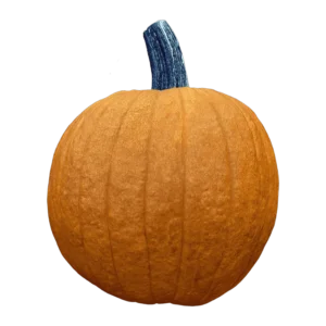 Pumpkin on a transparent (no) background