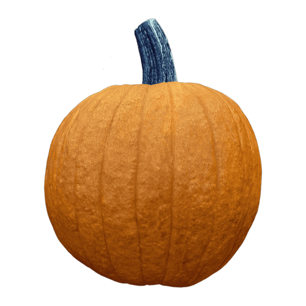 Pumpkin on a transparent (no) background